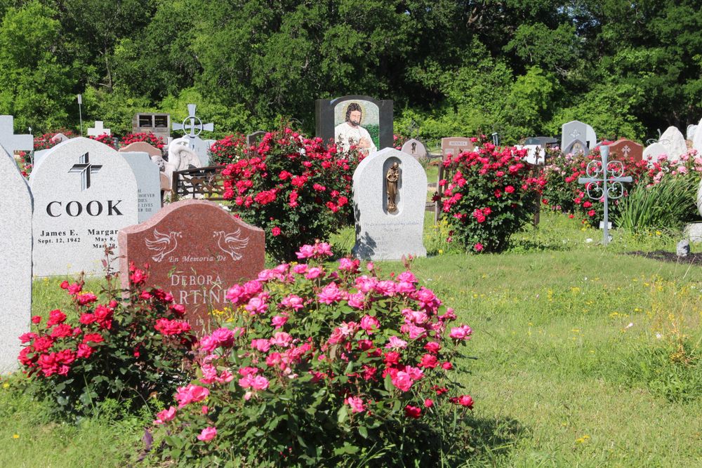 The Forest Garden, a natural green burial area at Our Lady of the Rosary Cemetery