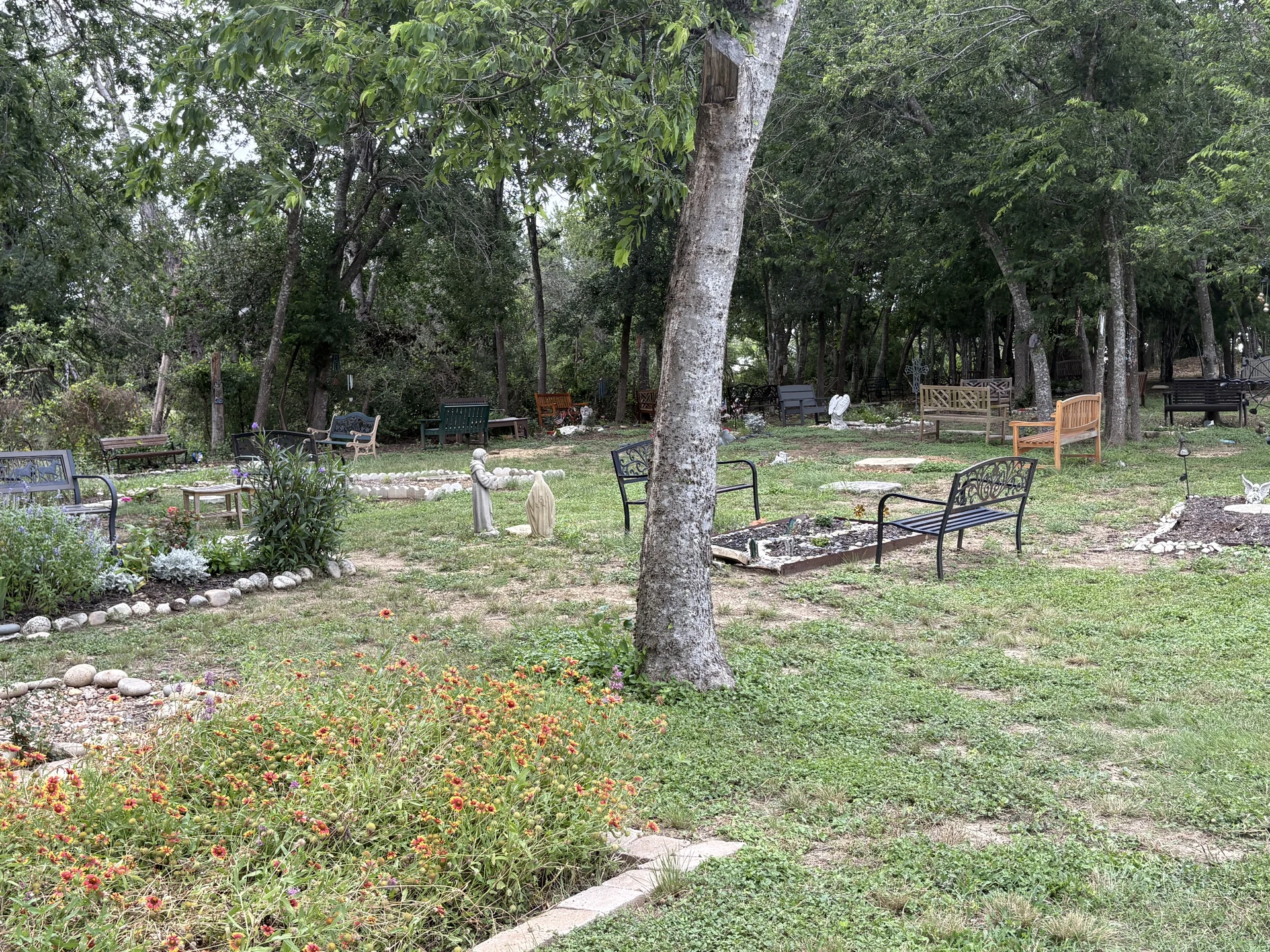 The Forest Garden at Our Lady of the Rosary Cemetery