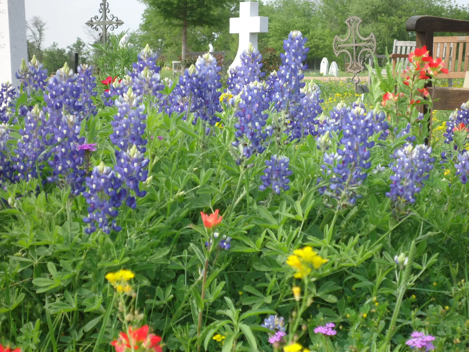All Souls' Day at Our Lady of the Rosary