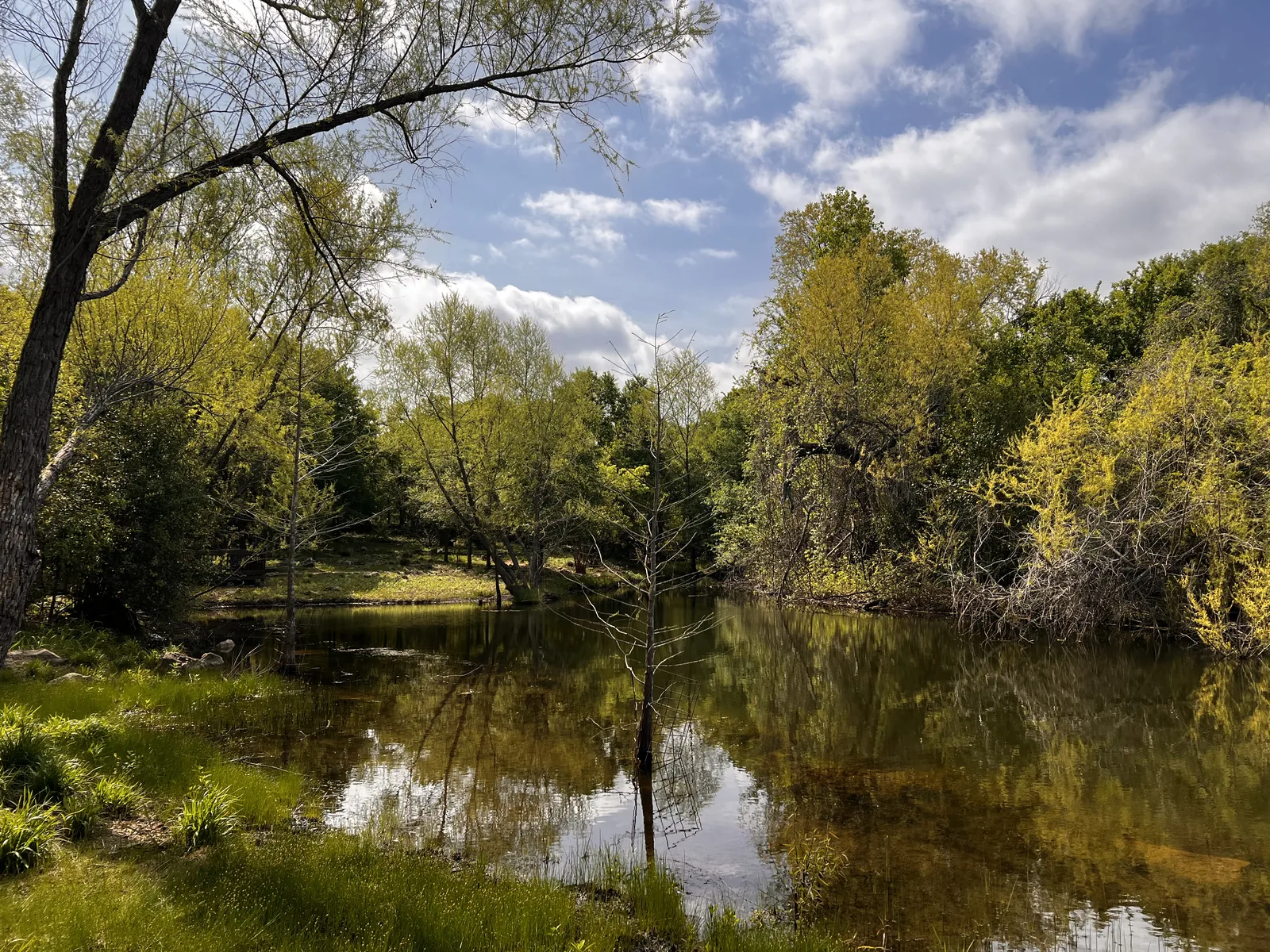 Peaceful pond and gardens at Our Lady of the Rosary Cemetery