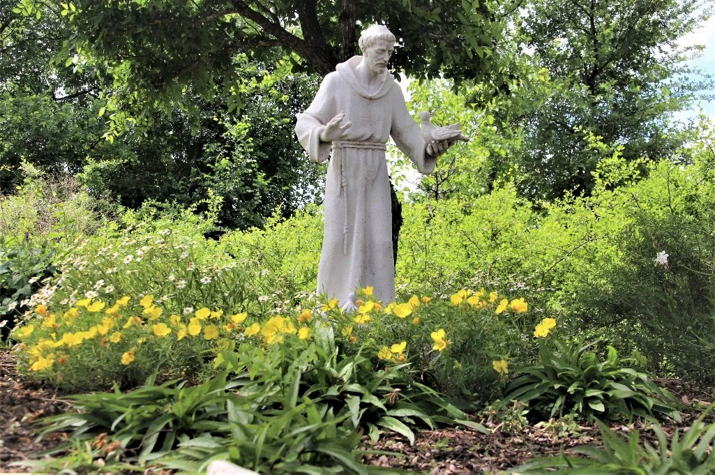 St. Francis statue surrounded by wildflowers at Our Lady of the Rosary Cemetery